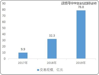 服裝工廠盈利新篇章 熱門(mén)款式與市場(chǎng)洞察的藝術(shù)融合